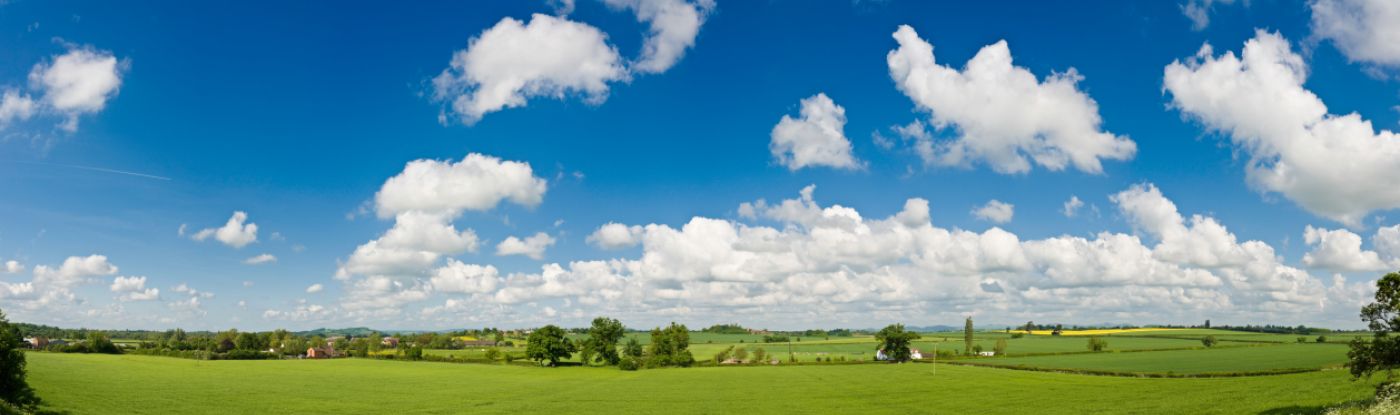 A field with bright green grass, blue sky and a bunch of white clouds
